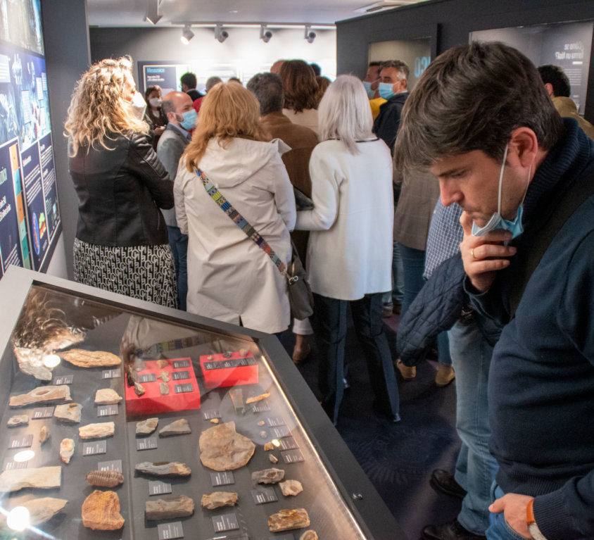 Adecuación de la Casa de Cultura Jesús Meneses para la exposición permanente de fósiles