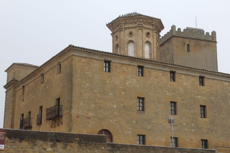 Musealización del Palacio de los Condes de Aranda, Biota